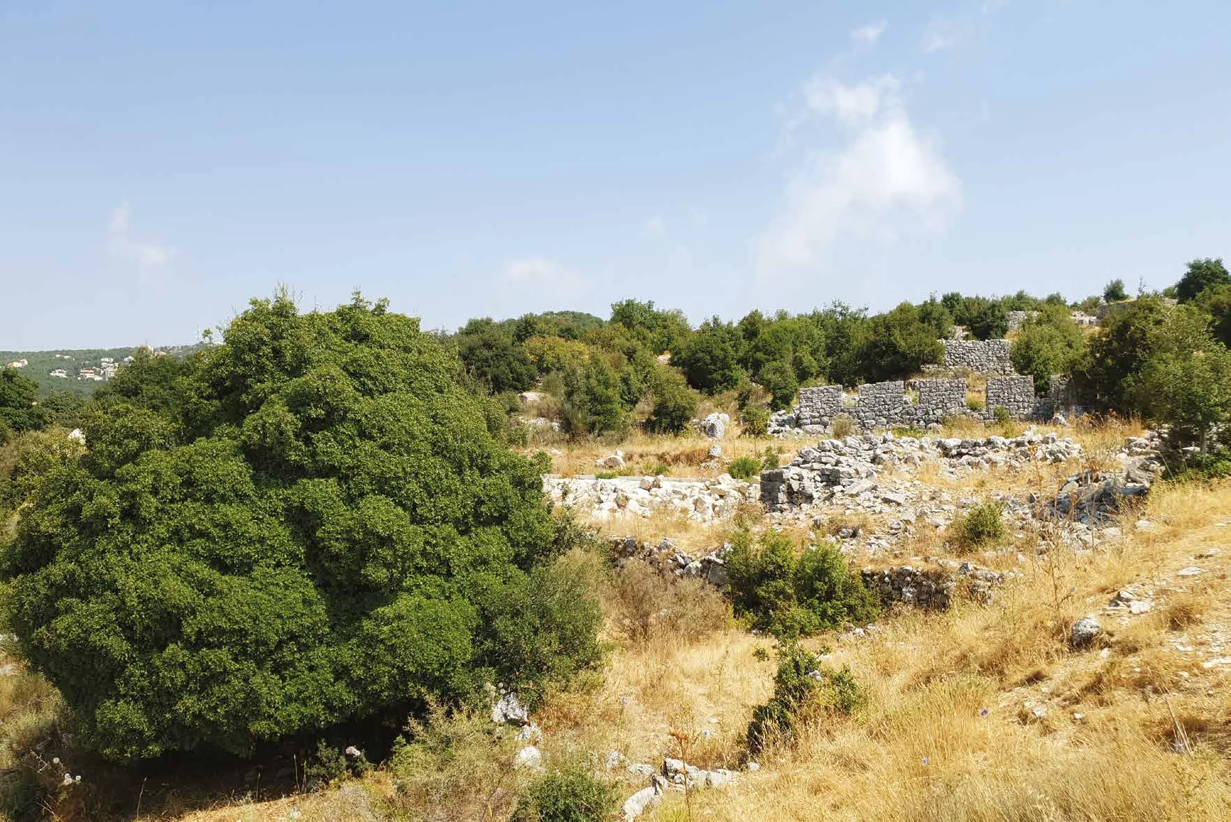 Existing stone ruins and vegetation on the Liwan Village site